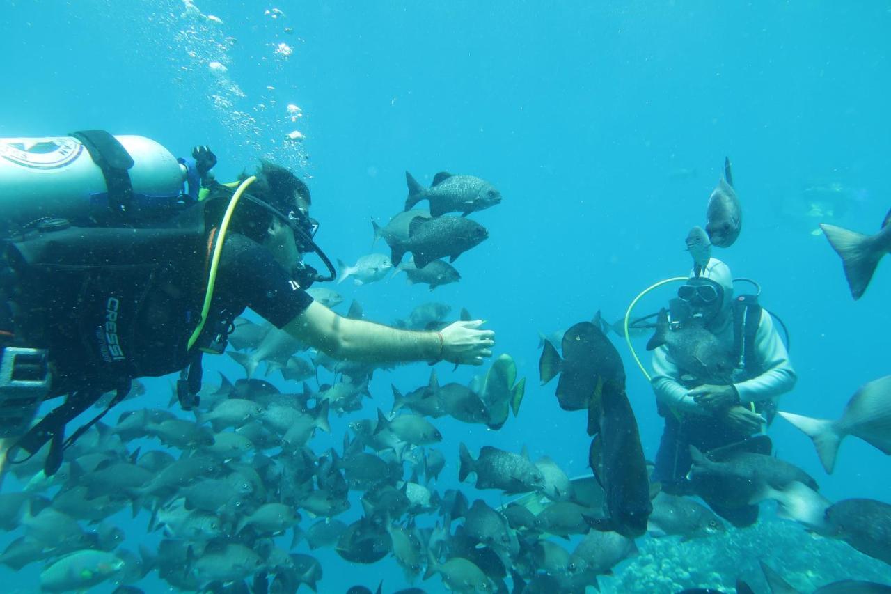 Tabari Dive Lodge Pulau Mansuar Buitenkant foto