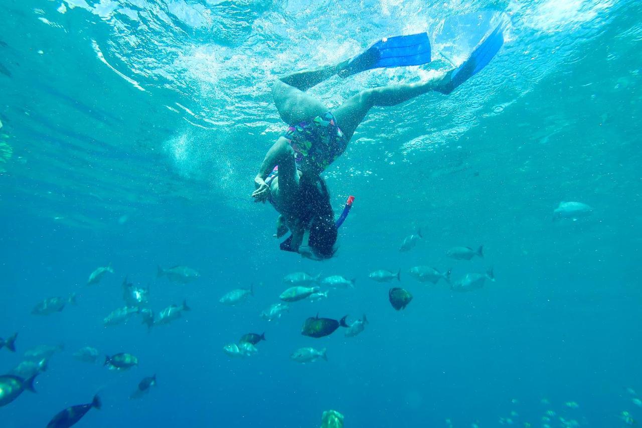 Tabari Dive Lodge Pulau Mansuar Buitenkant foto
